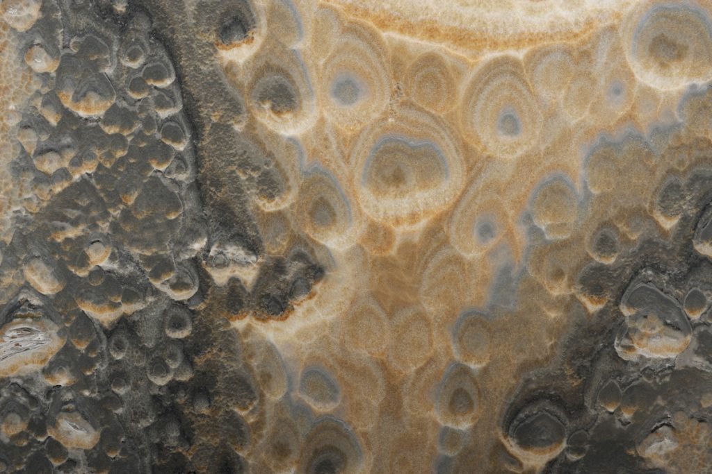 Velluto